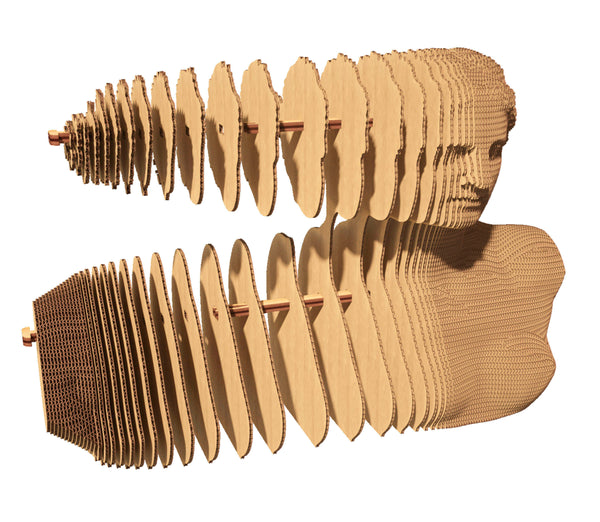 3D Cardboard Sculpture Puzzle - The Divine Series