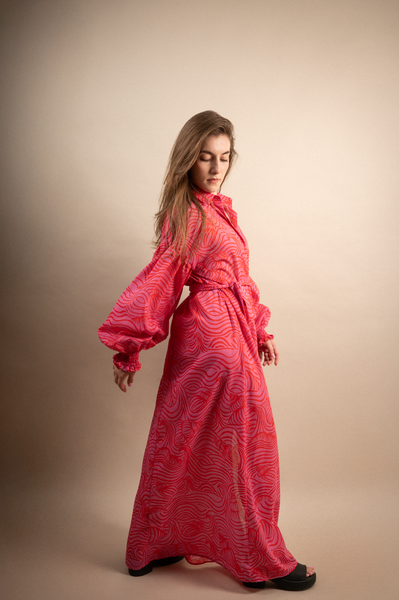 Swank Maxi Fine Dress