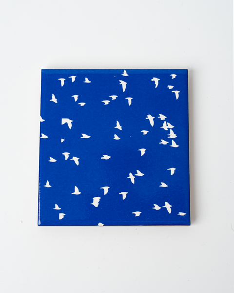 Ceramic Coasters