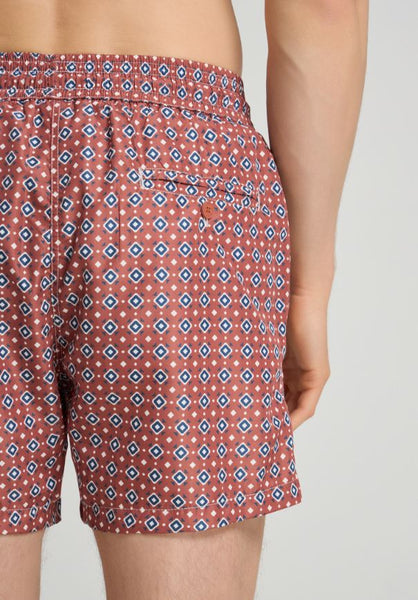 Palasca Swimwear Terracota/Sapphire Blue