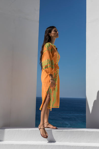 Anisa Midi Dress